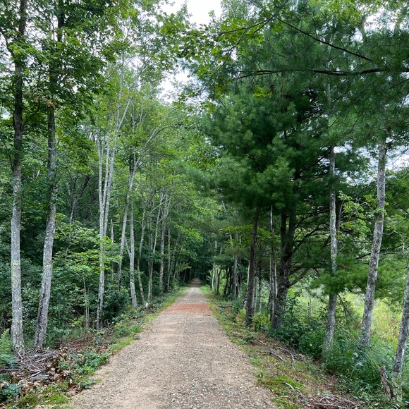 Meet Your Posher! 😉 - Picture 8 of 10